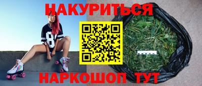 прущие крисы Славгород