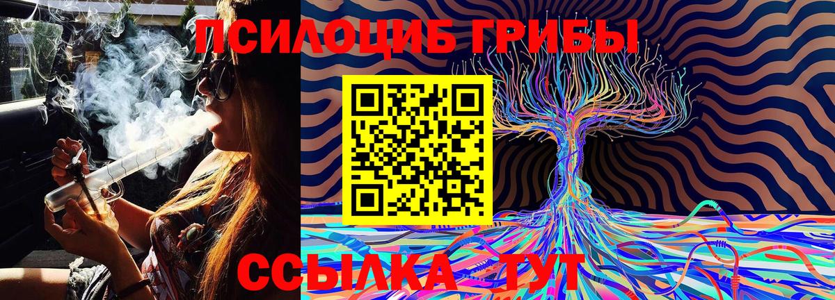 Псилоцибиновые грибы MAGIC MUSHROOMS  Вход с VPN  Новоуральск  где купить наркотик  Галлюциногенные грибы мухоморы 