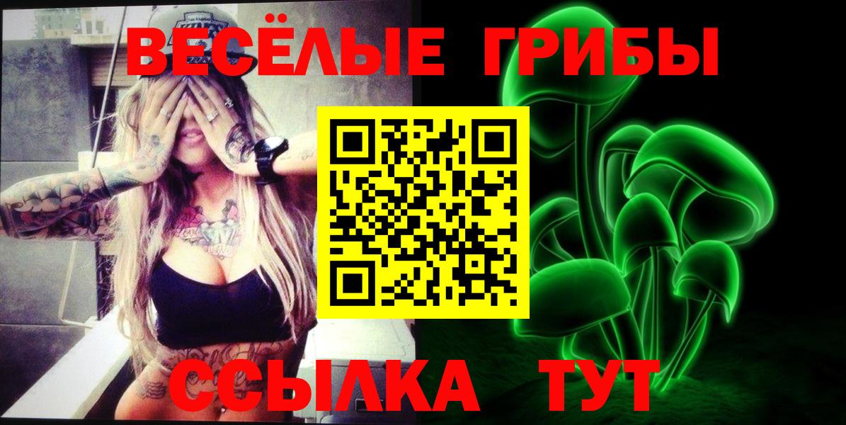 Псилоцибиновые грибы мицелий Новоуральск